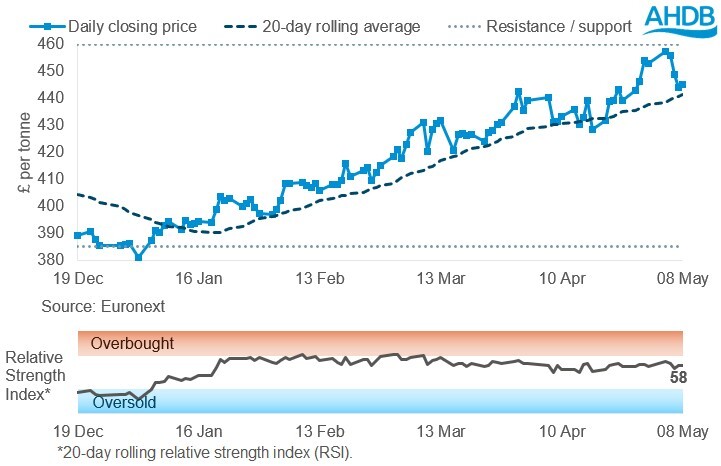 Line graph of Rapeseed futures Nov-26 contract prices over the past six months.